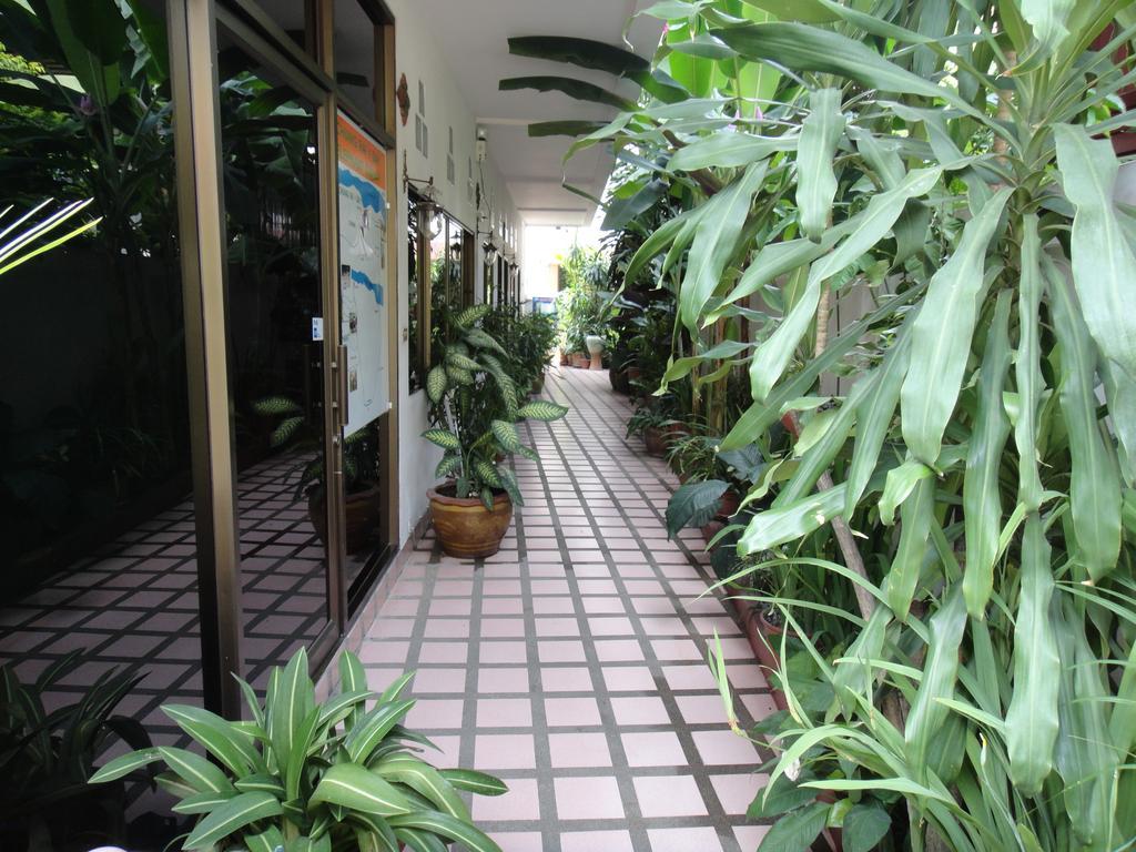 The Red Hibicus Guest House Чіангмай Екстер'єр фото